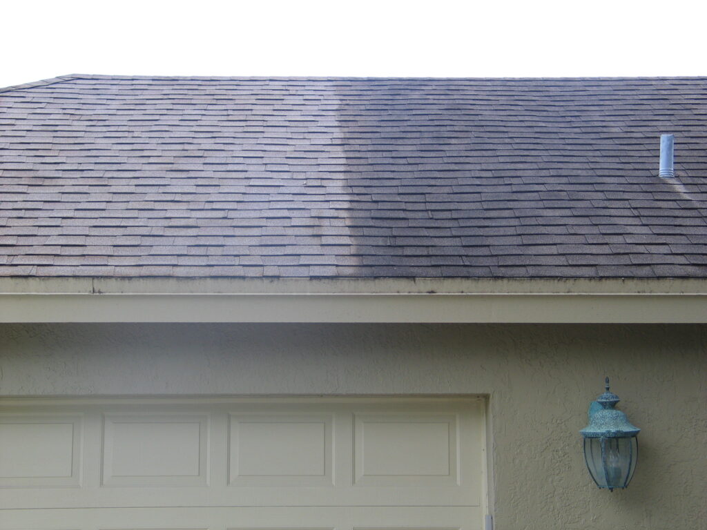 Shingle Roof Cleaning